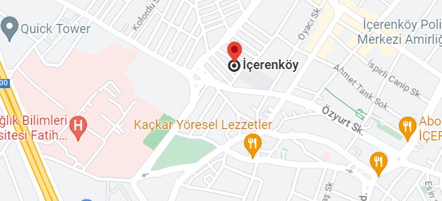 İçerenköy Protherm Servisi