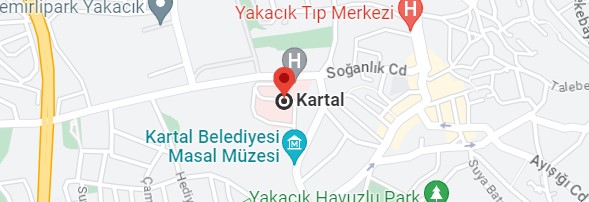 Kartal Kombi Servisi